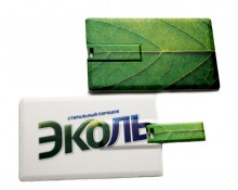 Флешки визитки с нанесением логотипа